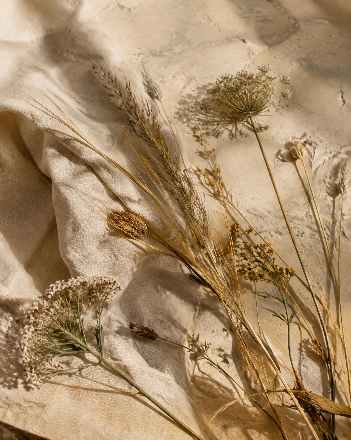 Dried meadow grasses and botanicals on linen and pale stone